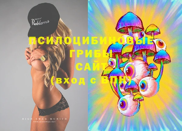 PSILOCYBIN Алексин