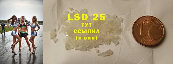 ГАЛЛЮЦИНОГЕННЫЕ ГРИБЫ Алзамай