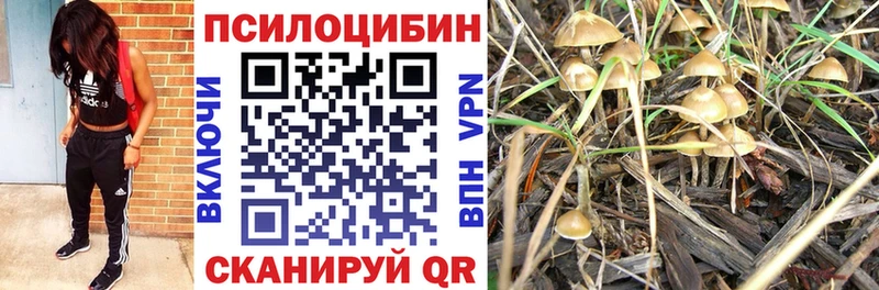 blacksprut онион  Харабали  Галлюциногенные грибы Cubensis 